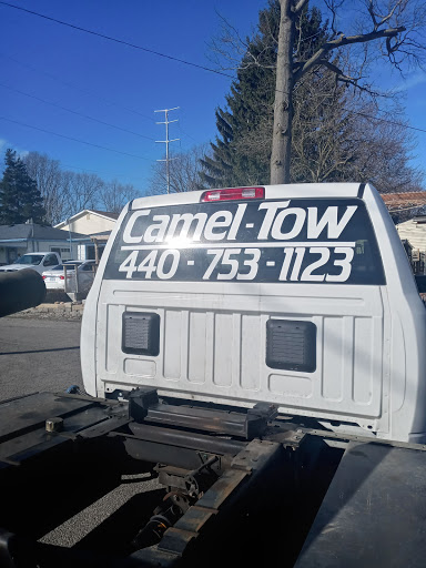 Camel-Tow image 5
