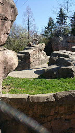Zoo «Columbus Zoo and Aquarium», reviews and photos, 4850 Powell Rd, Powell, OH 43065, USA