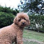 Photo n° 2 de l'avis de Maud.e fait le 28/09/2023 à 09:55 pour Cabinet Vétérinaire Univet Carnegie à Tergnier