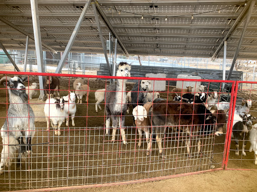 Zoo «Sierra Safari Zoo», reviews and photos, 10200 N Virginia St, Reno, NV 89506, USA