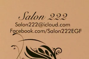 Salon 222 image