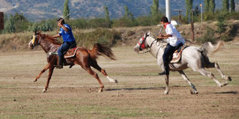 Antalya Cirit Binicilik ve Atlı Spor Kulübü Derneği