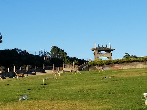 Funeral Home «Skylawn Funeral Home & Memorial Park», reviews and photos, CA-92 & Skyline Blvd, San Mateo, CA 94402, USA