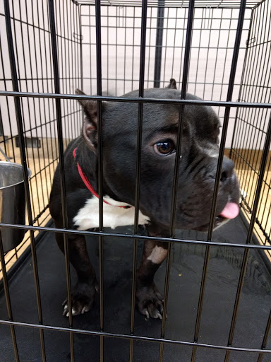 Shoe Store «Famous Footwear», reviews and photos, 975 I-30 Frontage Rd, Rockwall, TX 75087, USA