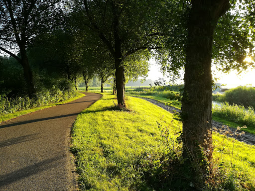 Hoge Bergse Bos