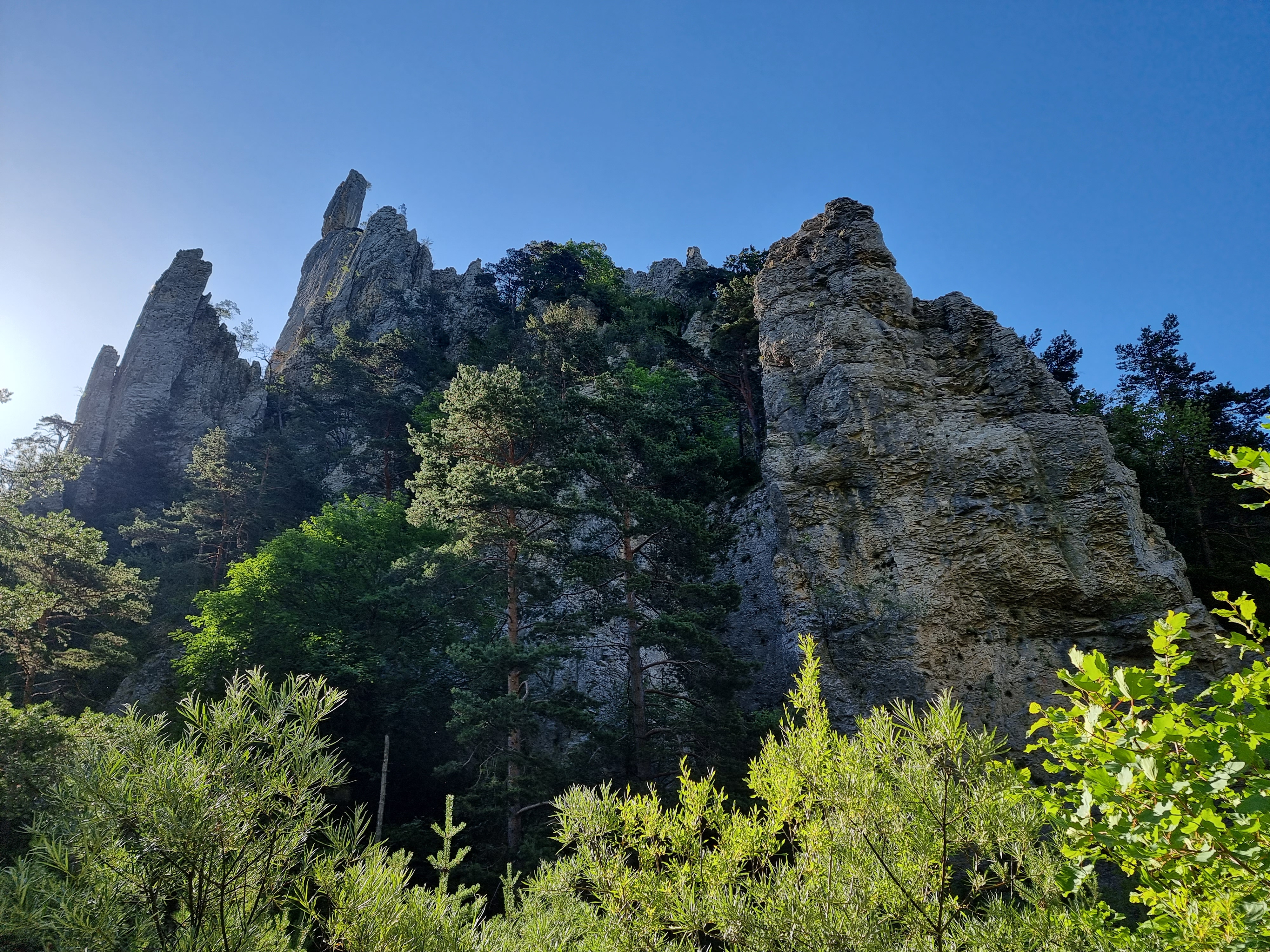 Photo n° 3 de l'avis de Viktória.i fait le 16/07/2022 à 13:58