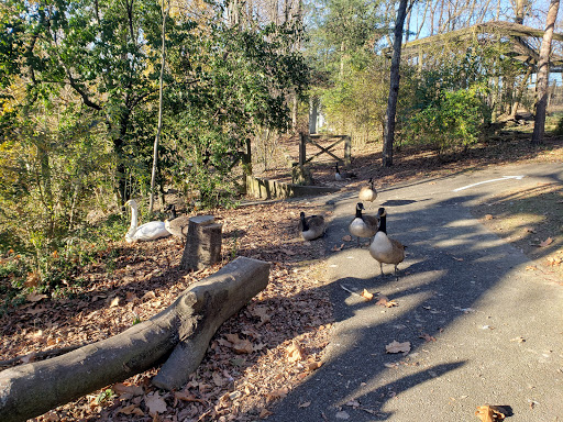 Zoo «Trevor Zoo at Millbrook School», reviews and photos, 282 Millbrook School Rd, Millbrook, NY 12545, USA