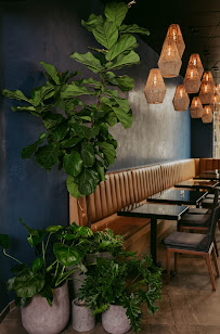 Profe Urban Landscaping - Photo 4 - Car repair in , Raleigh