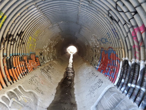 Nature Preserve «UC Davis - Stebbins Cold Canyon Natural Reserve», reviews and photos, CA-128, Winters, CA 95694, USA