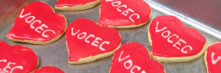 VOCEC Voices Opportunities & Choices Employment Club