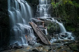 Folly Dolly Falls image