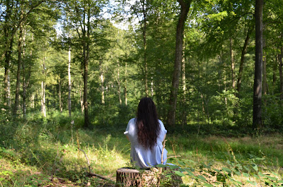 Simple Bonheur - Naturopathe, tisanes & ateliers culinaires - Amina Selmi à Amiens