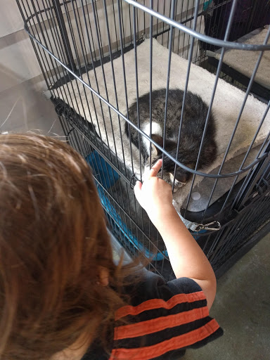 Pet Supply Store «Pet Supplies Plus», reviews and photos, 2091 Bronze Star Dr, Woodland, CA 95776, USA