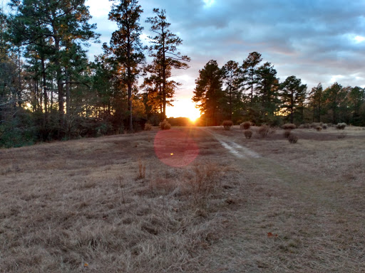 Golf Course «Southern Pines Golf Club», reviews and photos, 290 Country Club Cir, Southern Pines, NC 28387, USA