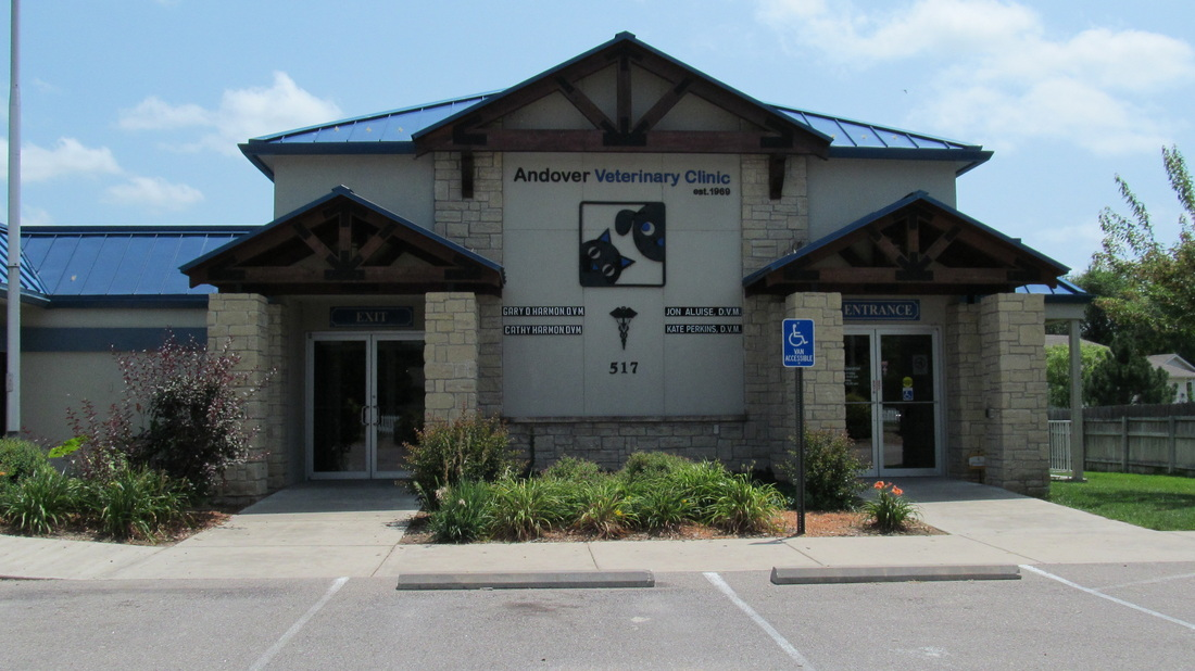 VCA Andover Animal Hospital and Pet Resort