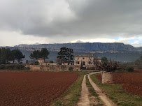 Les plus récentes photos du Restaurant français Auberge des bannettes à Rousset - n°5