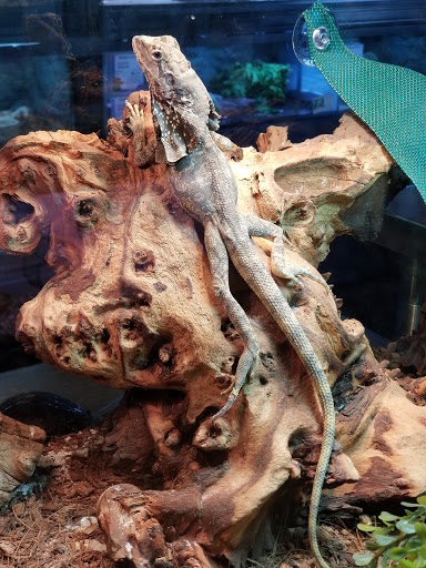 Pet Store «All Pets Club», reviews and photos, 1167 N Colony Rd, Wallingford, CT 06492, USA