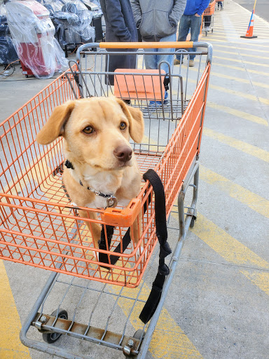 Home Improvement Store «The Home Depot», reviews and photos, 244 N Main St, Forked River, NJ 08731, USA