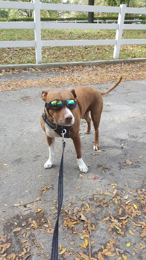 Park «Van Cortlandt Park», reviews and photos, Broadway and Vancortlandt Park S, Bronx, NY 10462, USA