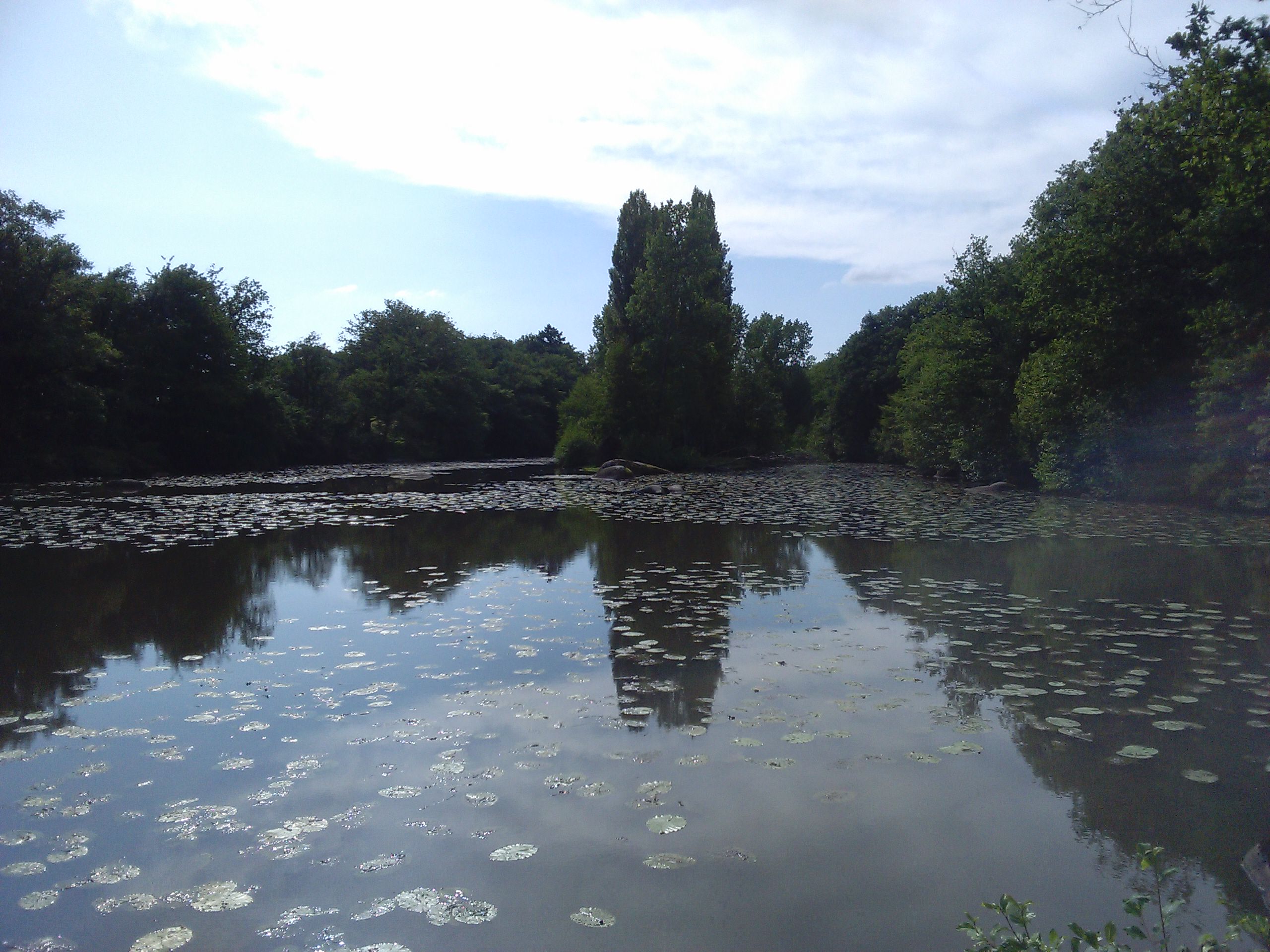 Photo n° 3 de l'avis de Roger.a fait le 30/05/2018 à 16:05