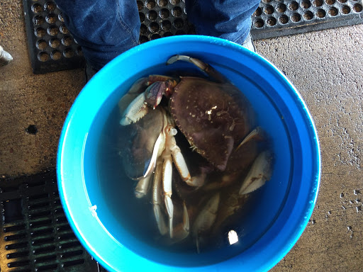 Resort «Embarcadero Resort Hotel & Marina», reviews and photos, 1000 SE Bay Blvd, Newport, OR 97365, USA