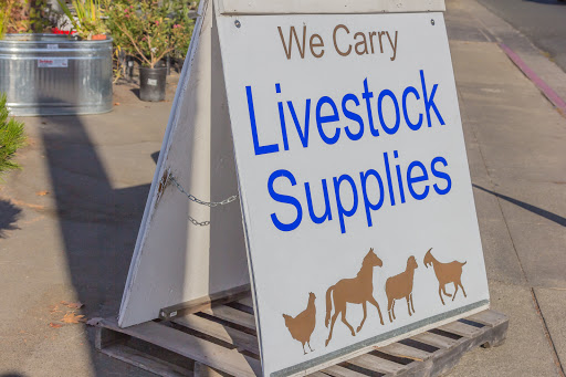 Hardware Store «Sebastopol Hardware Ctr», reviews and photos, 660 Gravenstein Hwy N, Sebastopol, CA 95472, USA