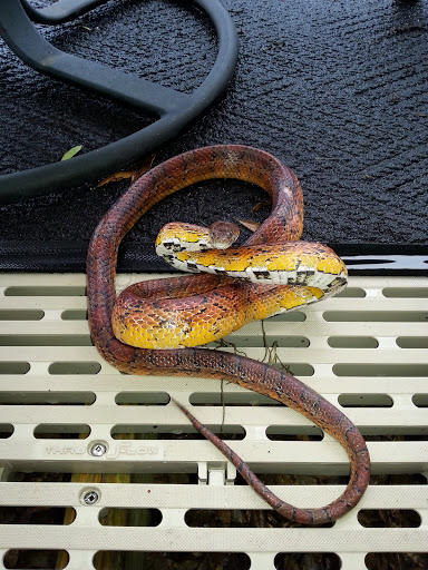 Golf Course «Panama Country Club», reviews and photos, 100 Country Club Dr, Lynn Haven, FL 32444, USA