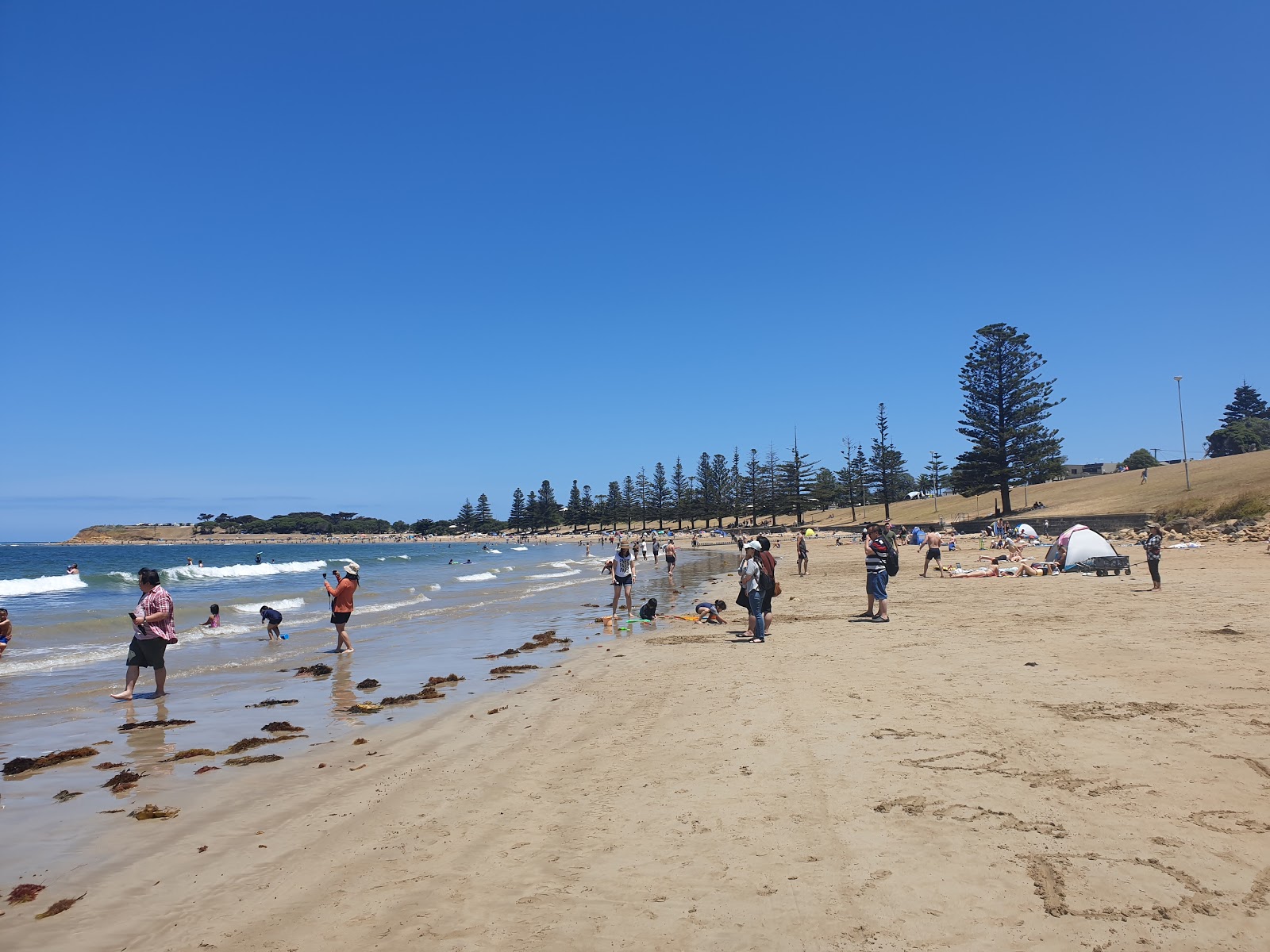 Photo of Torquay Beach and the settlement