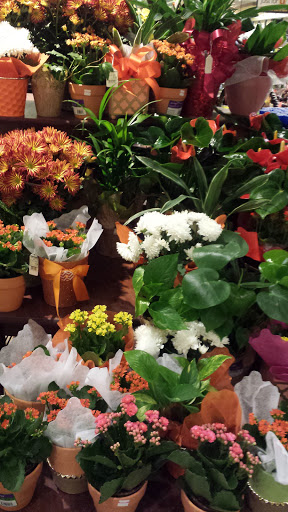 Grocery Store «Vons», reviews and photos, 9119 Reseda Blvd, Northridge, CA 91324, USA