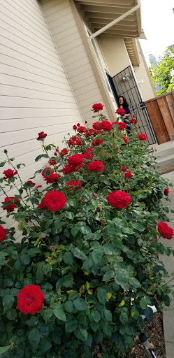 Day Care Center «Komal’s Licensed Daycare», reviews and photos, 5457 Sunstar Common, Fremont, CA 94555, USA