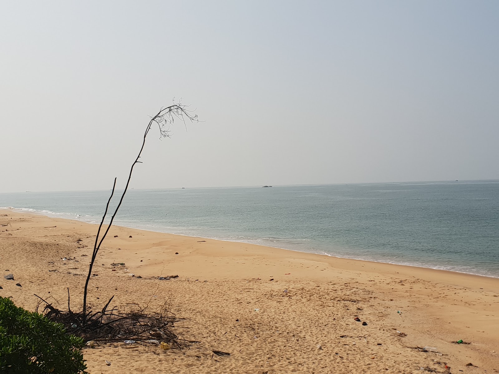 Bavaguthu Beach的照片 带有碧绿色水表面