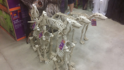 Home Improvement Store «The Home Depot», reviews and photos, 2811 S Arlington Rd, Akron, OH 44312, USA