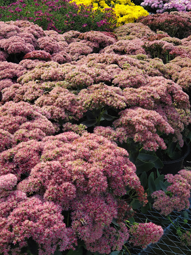 Home Improvement Store «The Home Depot», reviews and photos, 160 Laconia Rd, Tilton, NH 03276, USA