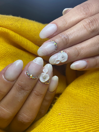 Logo da empresa - Dani Studzinski Nail Designer