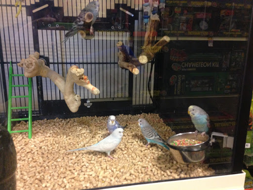 Pet Supply Store «PetSmart», reviews and photos, 170 Marketplace Blvd, Hamilton Township, NJ 08691, USA