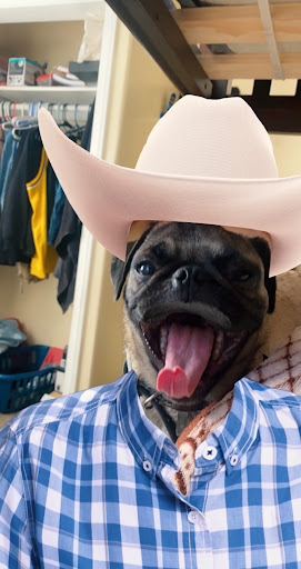 Shoe Store «Shoe Palace», reviews and photos, 1 Mills Cir #706, Ontario, CA 91764, USA