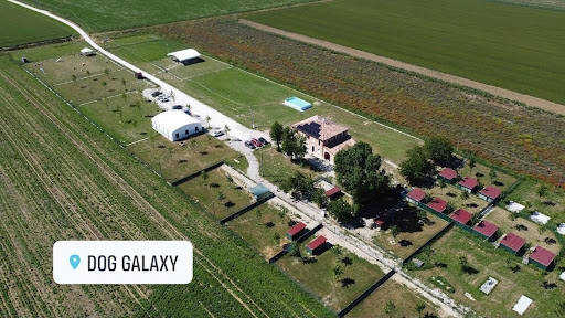 Pensioni per cani e dog hotel a Pensione Cani Dog Galaxy