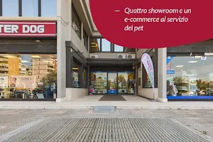 Mister Dog - Show Room poggiofranco image