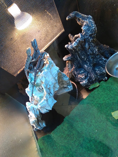 Pet Store «Fish Bowl», reviews and photos, 2117 E Race Ave, Searcy, AR 72143, USA