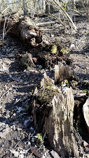 Park «Mt. Echo Park», reviews and photos, 202 Crestline Ave, Cincinnati, OH 45205, USA