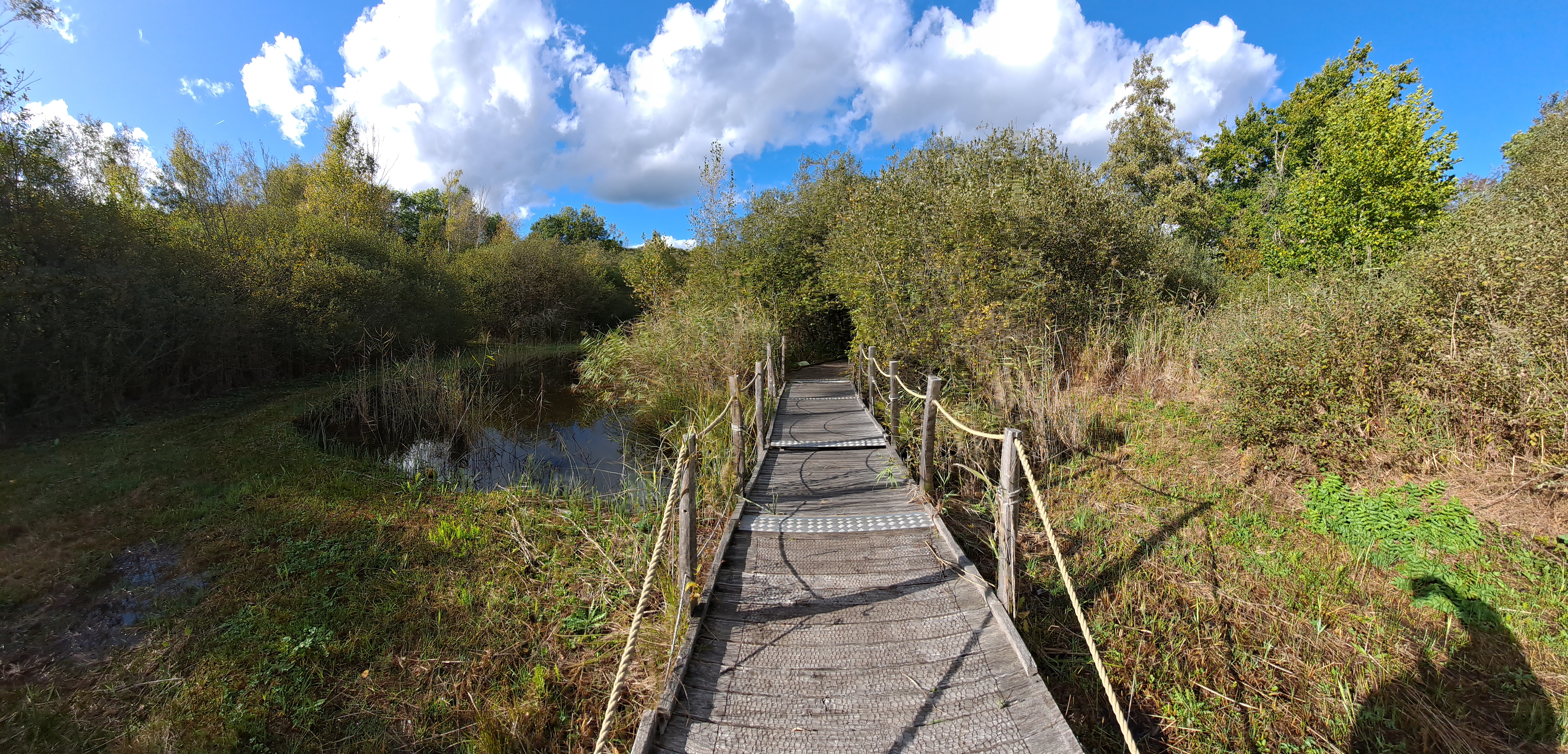 Photo n° 1 de l'avis de mi.i fait le 21/10/2023 à 13:52