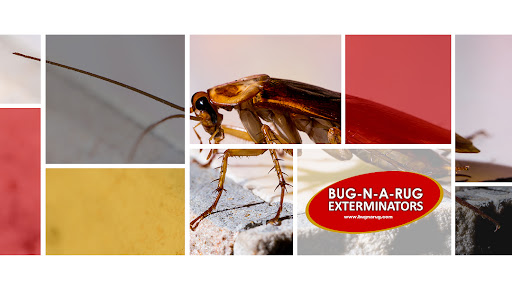 Bug-N-A-Rug Exterminators