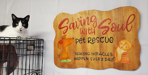 Saving With Soul Pet Rescue