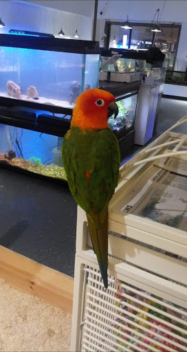 Pet Store «Off The Hook Exotics Pet Shop», reviews and photos, 926 5th Ave, Coraopolis, PA 15108, USA