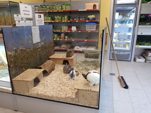 DAS FUTTERHAUS - Vechta unter Vechta, 