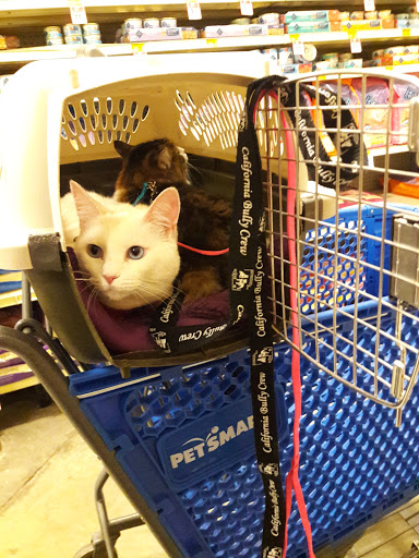 Pet Supply Store «PetSmart», reviews and photos, 595 E Hospitality Ln, San Bernardino, CA 92408, USA