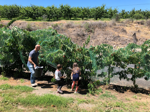 Produce Market «Washington Fruit Place At Barrett Orchards», reviews and photos, 1209 Pecks Canyon Rd, Yakima, WA 98908, USA