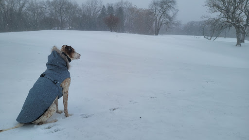 Golf Course «Huron Hills Golf Course», reviews and photos, 3465 E Huron River Dr, Ann Arbor, MI 48104, USA