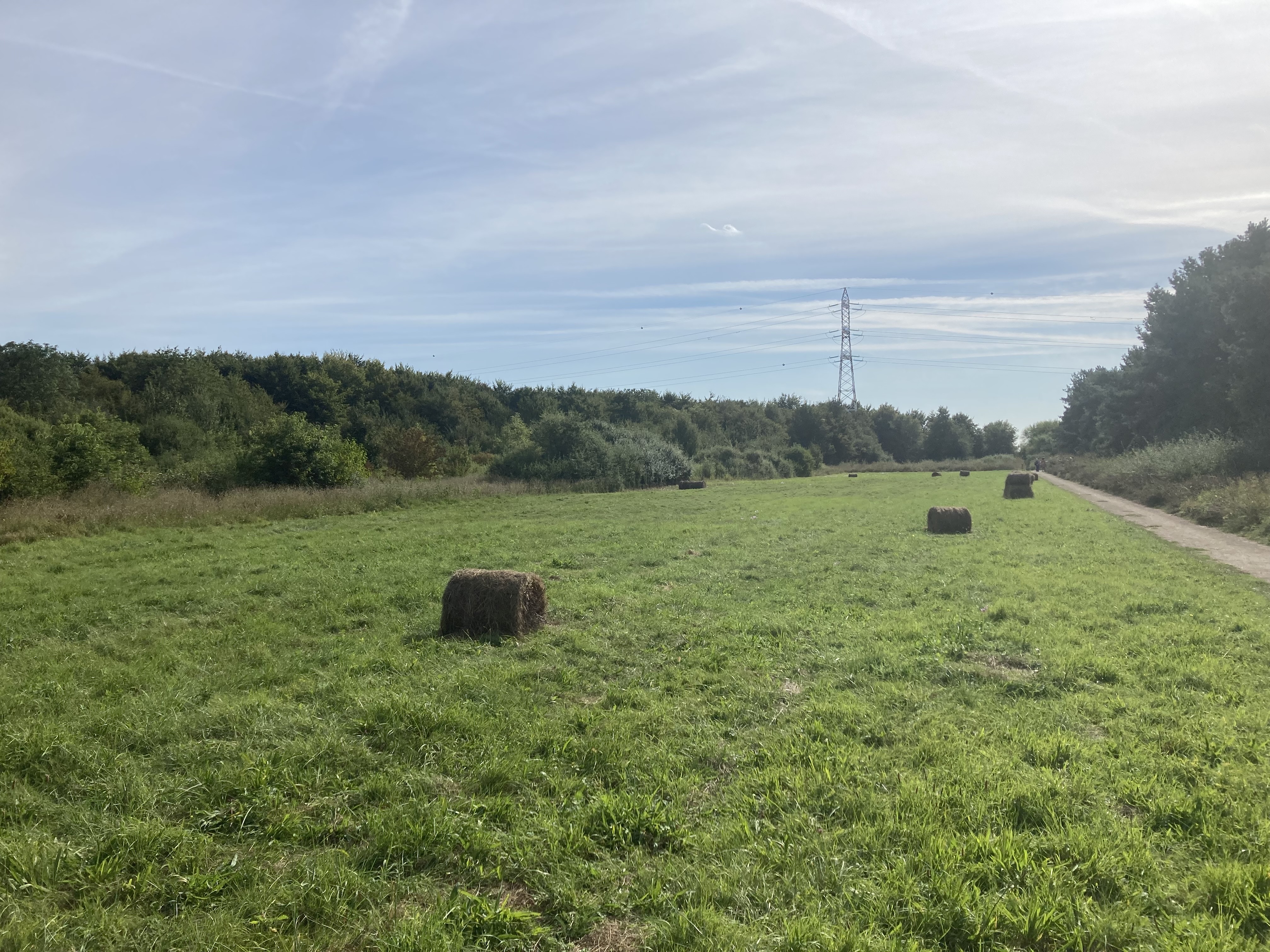 Photo n° 24 de l'avis de Cécile-Laure.H fait le 12/09/2021 à 16:29