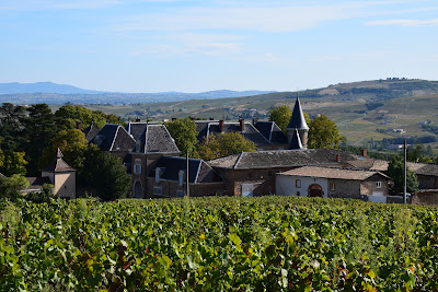 Château Du Bluizard à Saint-Étienne-la-Varenne